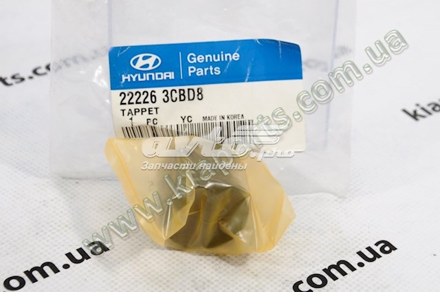 222263CBD8 Hyundai/Kia