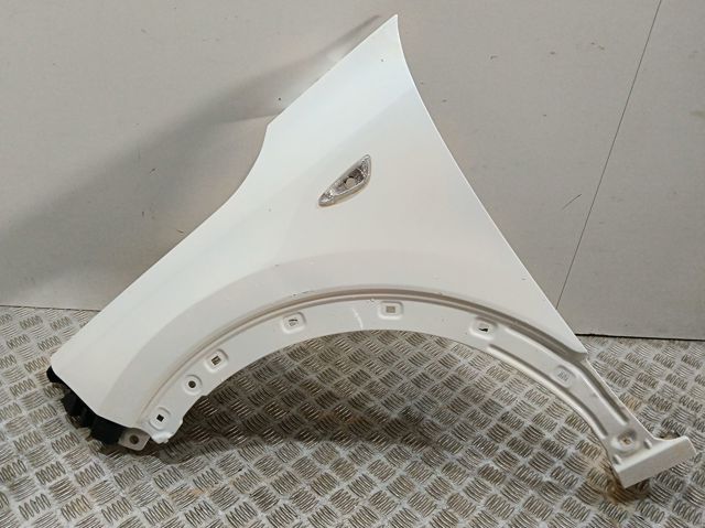 Aleta delantera izquierda Hyundai/Kia 66311AT000 precio, desde 335,41 EUR