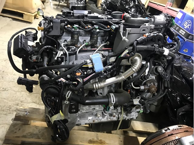 9670461280 Peugeot/Citroen Bloque de cilindros del motor