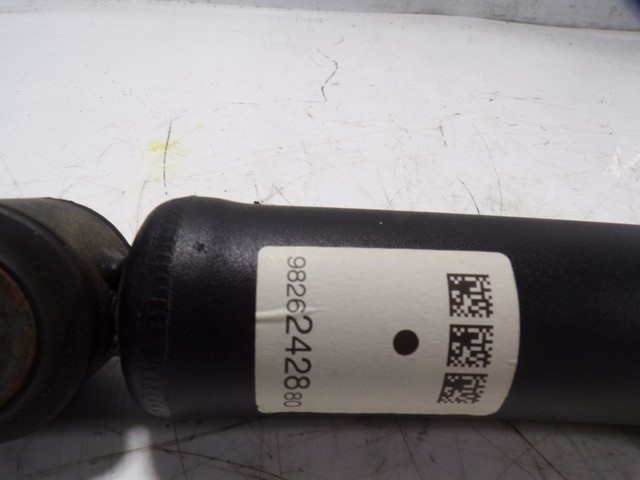 Comprar 9826242780 Peugeot/Citroen 