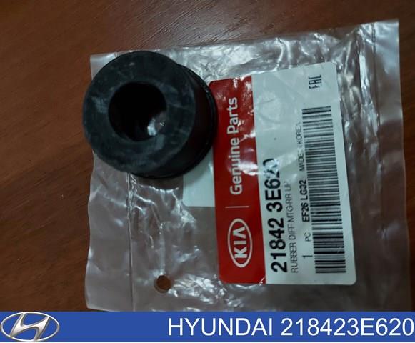 218423E620 Hyundai/Kia