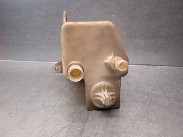 Depósito de bomba de dirección hidráulica para Citroen Jumper  250