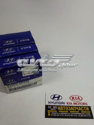 210204A932 Hyundai/Kia juego de cojinetes de cigüeñal, estándar, (std)