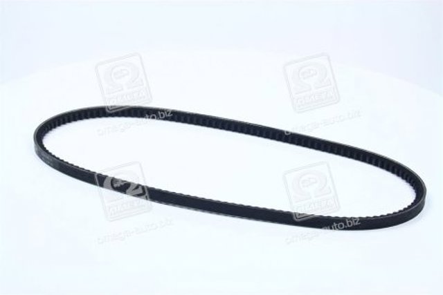 Correa de alternador 10A0900C Dayco