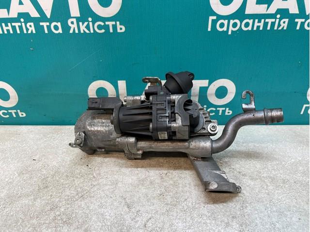 50563902 Peugeot/Citroen Válvula EGR