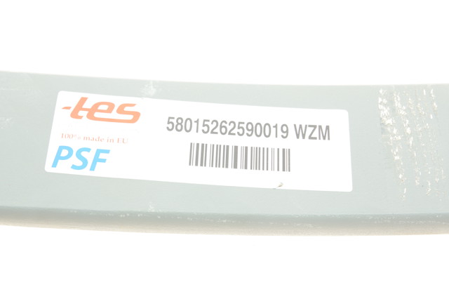 Ballesta delantera TES 58015262590019WZM precio, desde 187,71 EUR