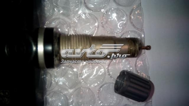 Control de presión de neumáticos Nissan/Infiniti 407001LL0D