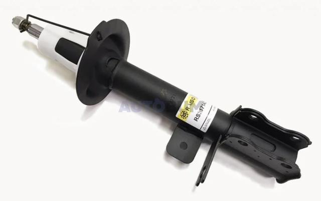 Amortiguador trasero derecho RS317140 Raiso