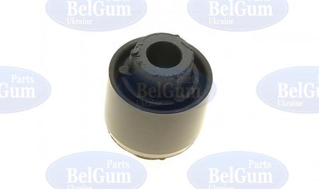 BG2266 Belgum Buje de mangueta trasera