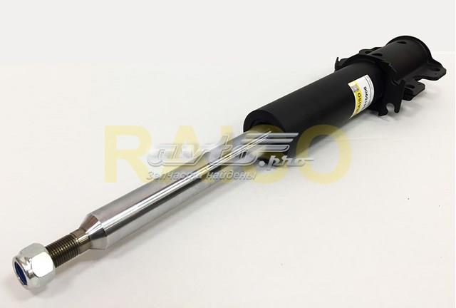 Amortiguadores Raiso RS115906 precio, desde 62,47 EUR