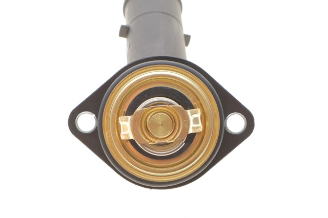 725372 NRF Termostato de agua