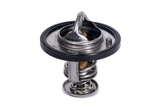 Comprar 471Q1306950 BYD Termostato