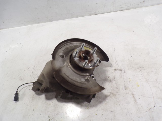 Muñón de eje, cuerpo del eje, trasero izquierdo  Land Rover LR079296