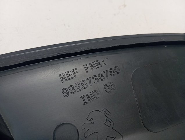 Extensión de la aleta trasera izquierda 98257367XT Peugeot/Citroen