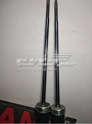 Amortiguador trasero Starline TLD368452 precio, desde 31,52 EUR