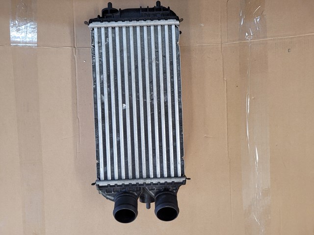 9824742280 Fiat/Alfa/Lancia Radiador de intercooler