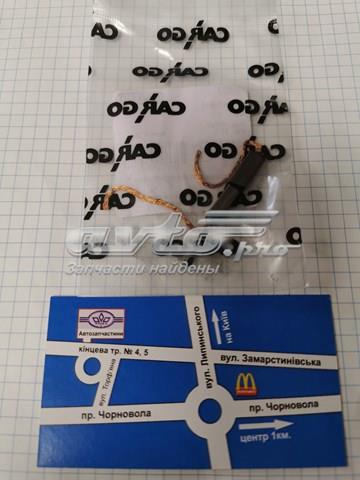 Comprar PX602 Cargo Escobillas alternador