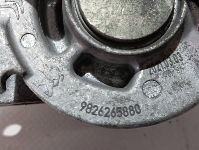9826265880 Peugeot/Citroen 