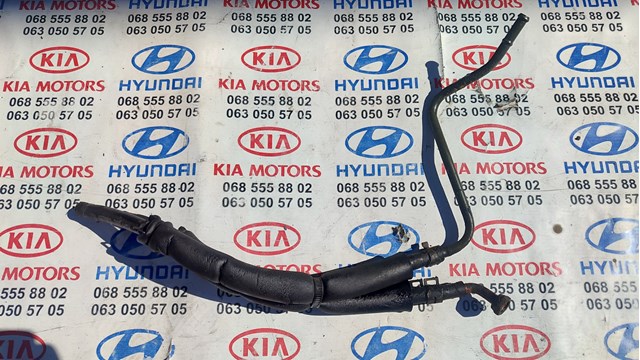 254202E000 Hyundai/Kia tubo manguera para enfriador de aceite, alta presion