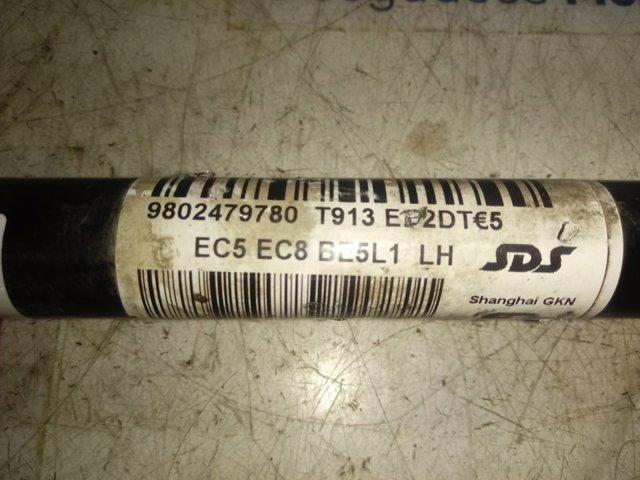  Peugeot/Citroen 9802479780