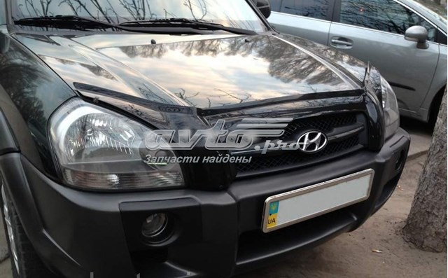 Deflector de capó Hyundai Tucson (TL)