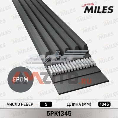 5PK1345 Miles correa trapezoidal