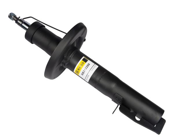 Amortiguadores Raiso RS312288 precio, desde 52,27 EUR