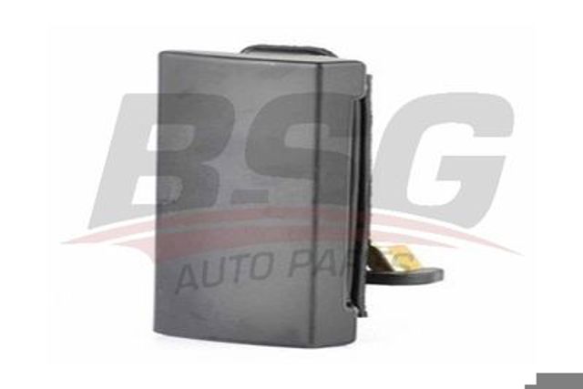 Manecilla de puerta de maletero exterior BSG BSG30970022 precio, desde 15,23 EUR