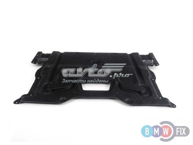 Protección motor trasera BMW 51758035971