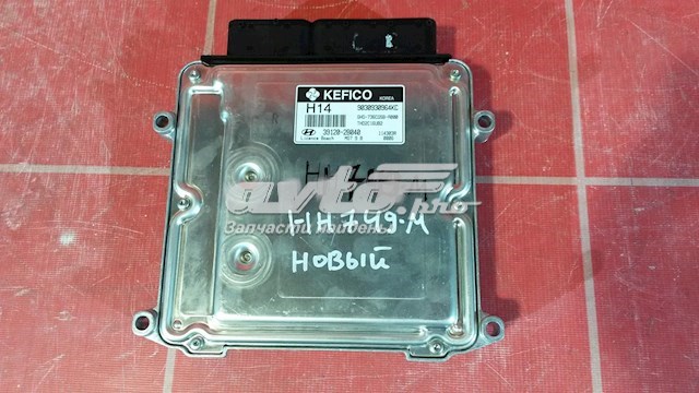 391202B040 Hyundai/Kia centralina del motor / modulo de control del motor (ecu)