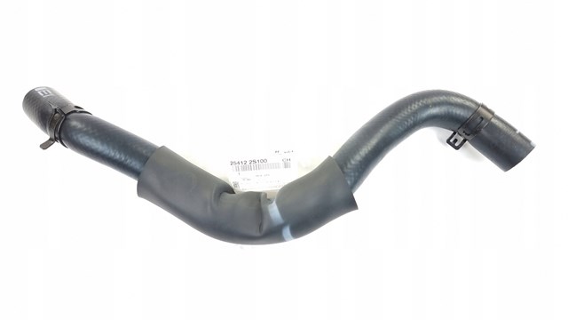 Manguera refrigerante para radiador inferiora Hyundai Tucson (TM)