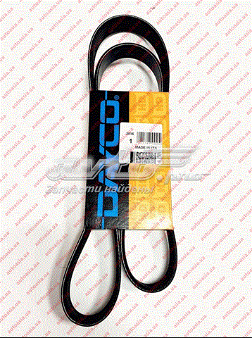 A113701315BA Dayco Correa poly v