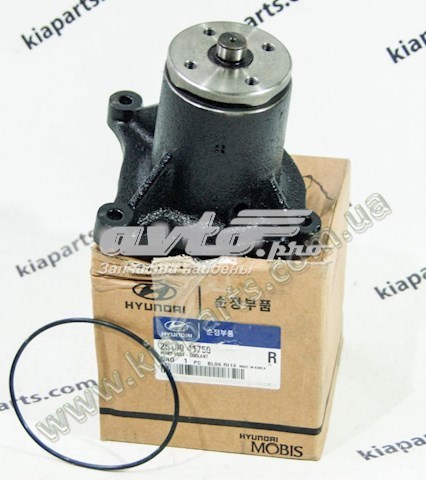 2510041750 Hyundai/Kia bomba de agua