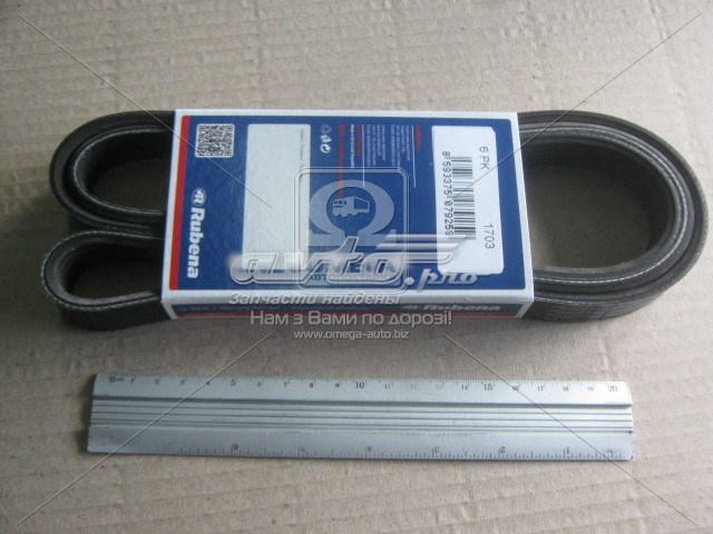 Correa de alternador 6PK1703 Vika
