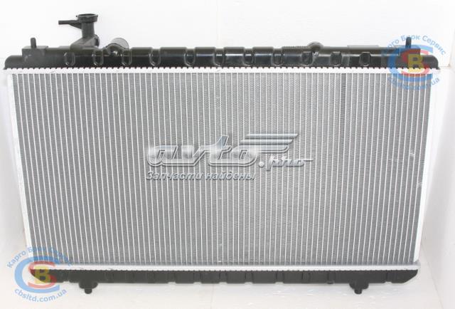 T11-1301110 China radiador refrigeración del motor