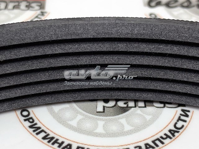 Correa de alternador LR062006 Land Rover