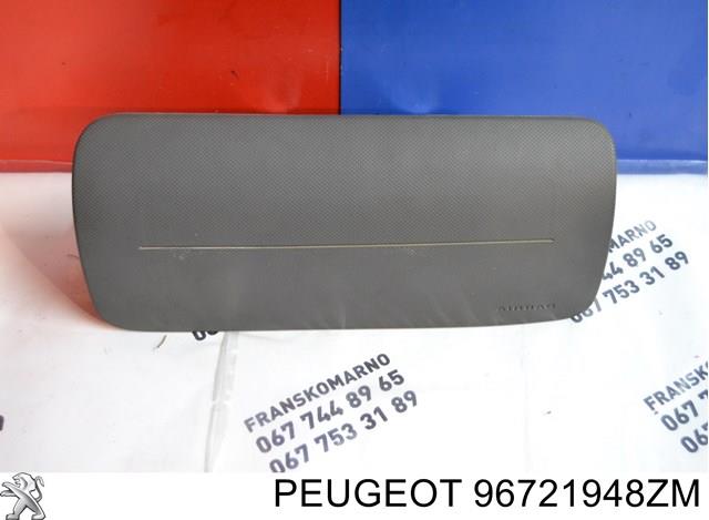 96721948ZM Peugeot/Citroen