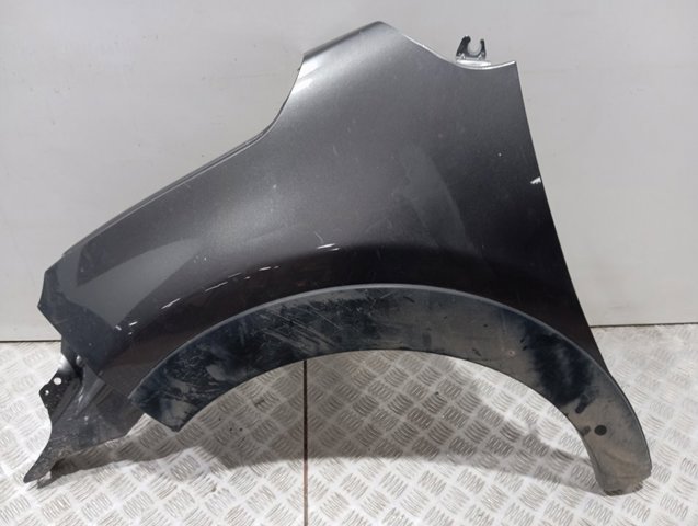 9812869080 Peugeot/Citroen Aleta delantera izquierda