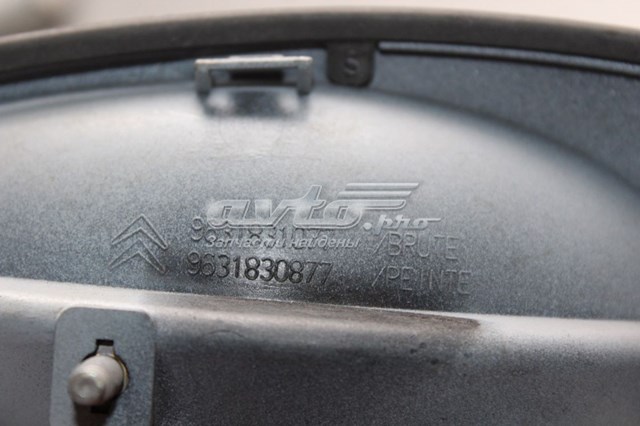9101S7 Peugeot/Citroen tirador de puerta exterior trasero izquierdo