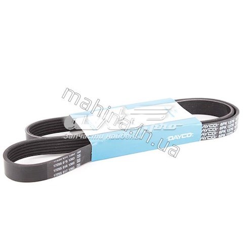 A113701315BA Dayco Correa poly v