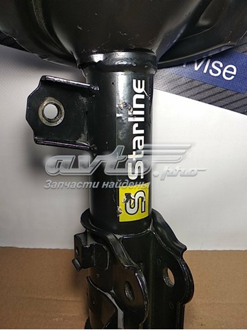  Starline TLC001123 precio, desde 50,54 EUR