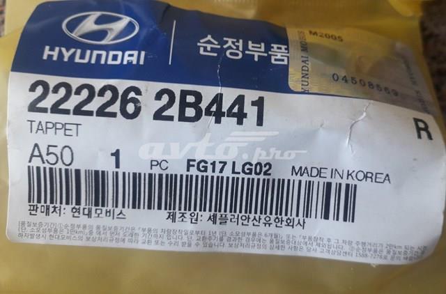 222262B441 Hyundai/Kia