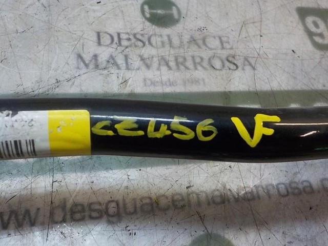 Estabilizador delantero 546110003R Renault (RVI)