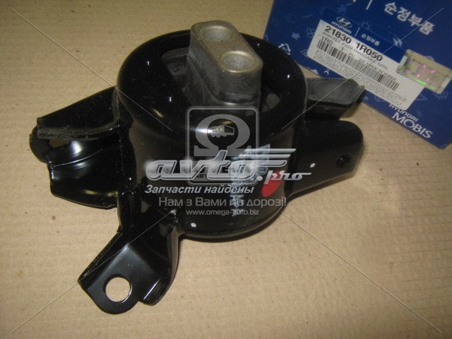 218301R050 Hyundai/Kia soporte de motor trasero