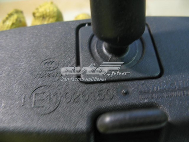 Espejo interno General Motors 13503045