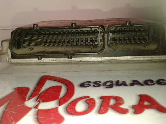 0281001914 VAG Centralina Del Motor