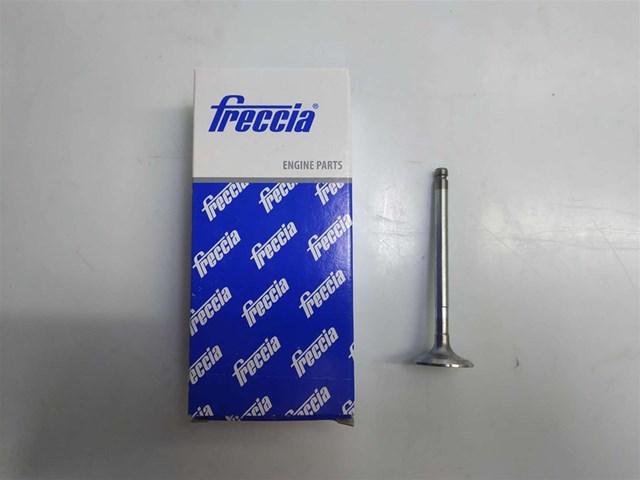 6153 Freccia Válvula de admisión