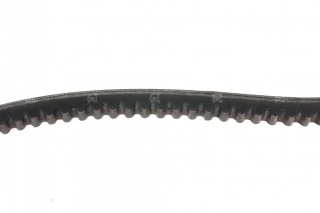 11A1171C Dayco Correa poly v