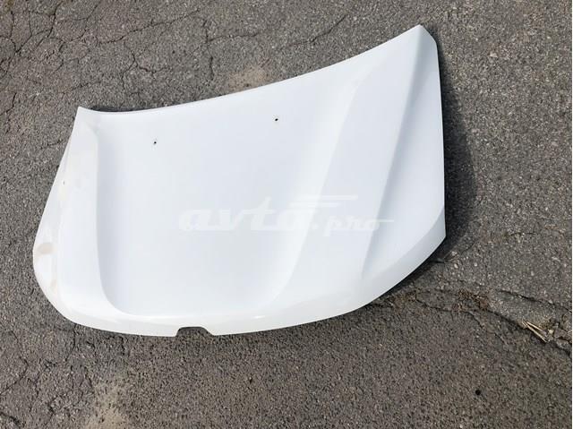 Capot para Renault DUSTER (HM)