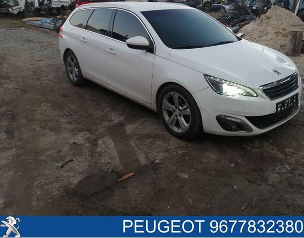 9677832380 Peugeot/Citroen Luz derecha